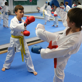 training dojo